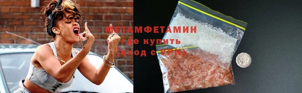 прущие грибы Анива