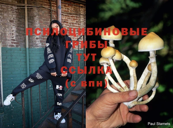 ГАЛЛЮЦИНОГЕННЫЕ ГРИБЫ Алексин