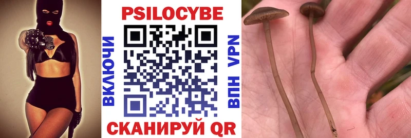 Псилоцибиновые грибы Magic Shrooms  магазин  наркотиков  Арсеньев 